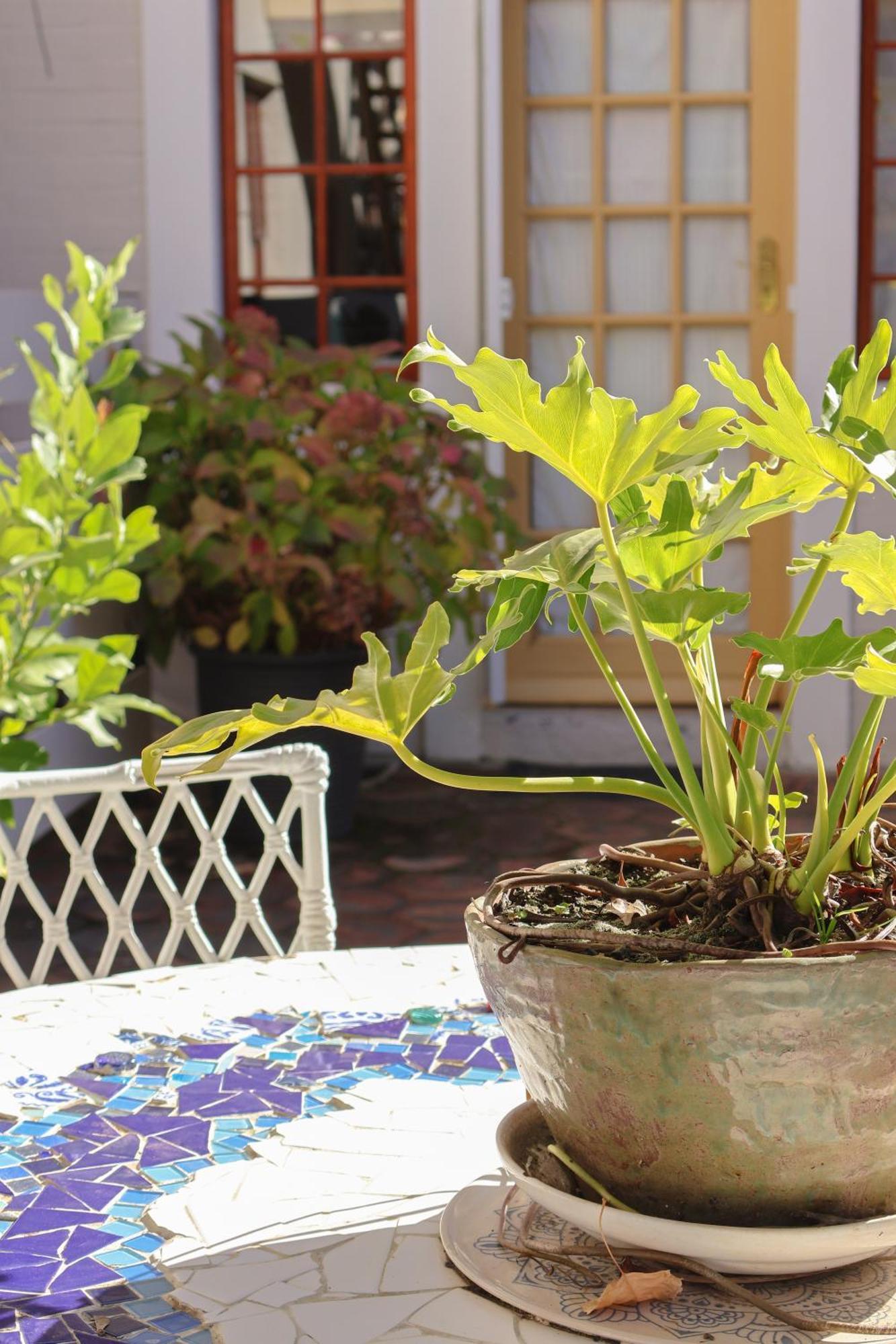 The Gate Guesthouse Clarens Bagian luar foto